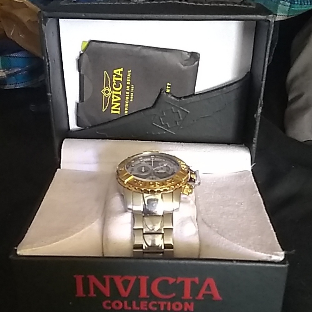 Invicta subaqua Noma2